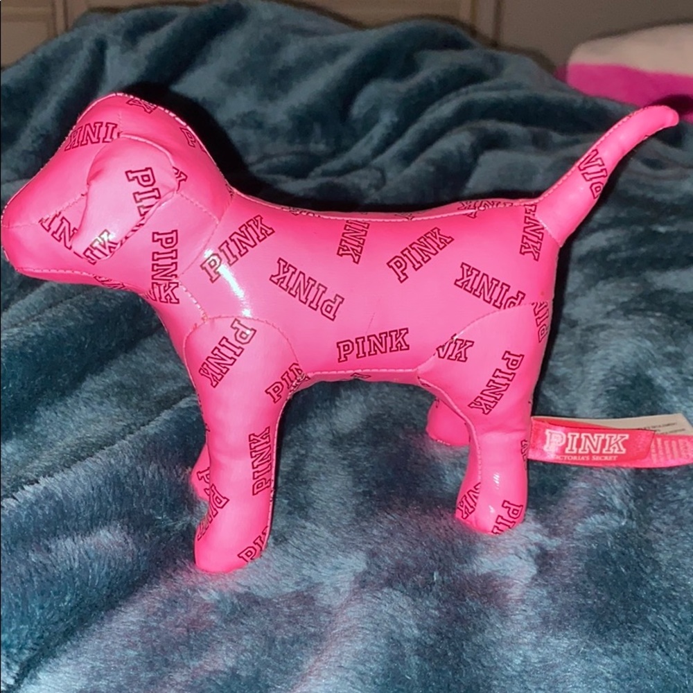VS pink dog